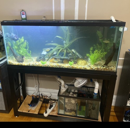 Aquarium