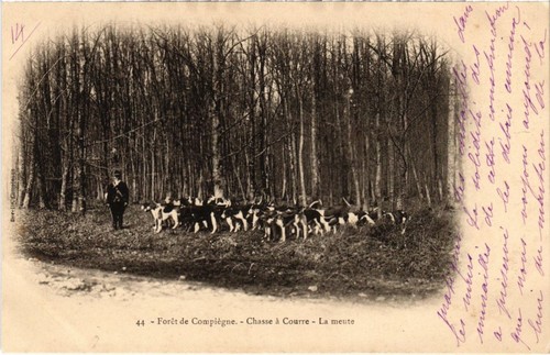 Chasse courre foret de - a,