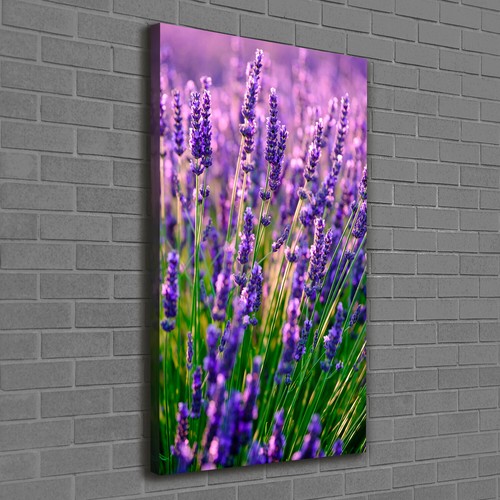 Tulup tableau sur - toile, image