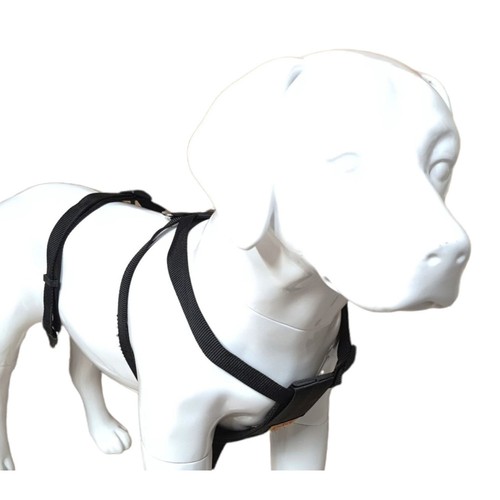 Harnais sécurité taille s - taille,