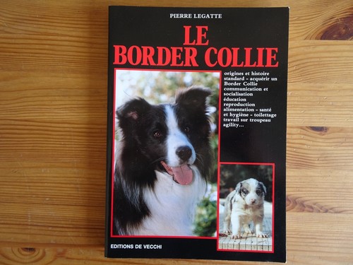 Border collie pierre - border, collie,