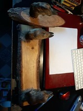 Patéres PORTE FUSILS en PATTES DE CHEVREUILS OU PORTE MANTEAUX PATERES 