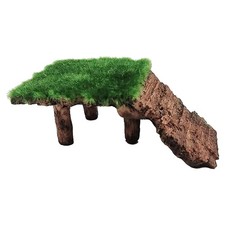  Accessoire Tortue Plate-forme