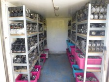 CARBURATEUR KAWASAKI AR 80 AR 125 KE 125 KH 125 KMX 125 EL 250 400 Z LTD 400 