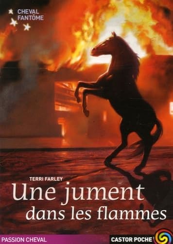 Cheval fantome une jument - cheval,