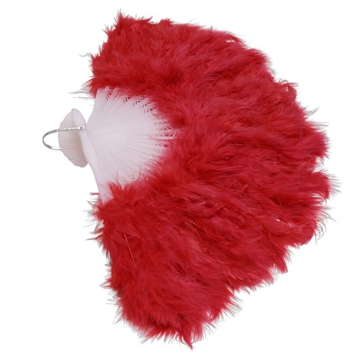 Feminin plume eventail - plume,