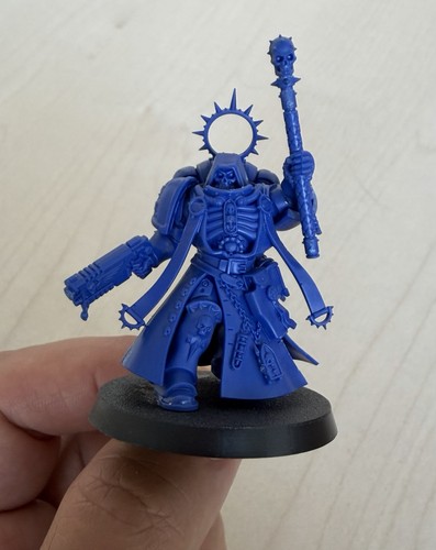 Chapelain primaris - x1,
