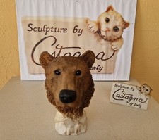 CASTAGNA TÊTE D'OURS BRUN