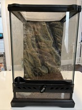 EXO Terra  Tall Terrarium