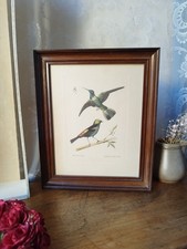 Magnifique Gravure Ancienne