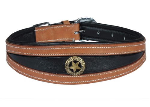 Collier pour chien - , rembourré