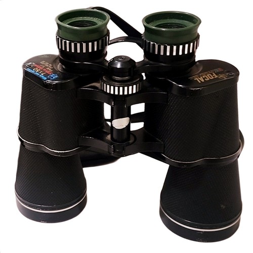 Vintage focal siam cat - vintage,