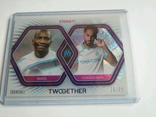 2025 panini eternity - panini,