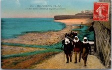 17 ILE D'OLERON - chats bottes rentrant de la peche aux huitres