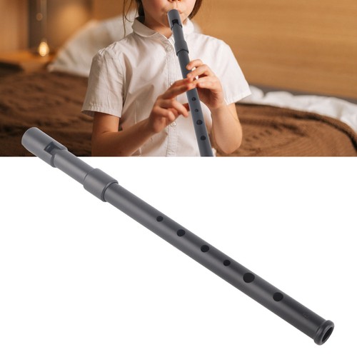 Tin irish whistle - irish, son