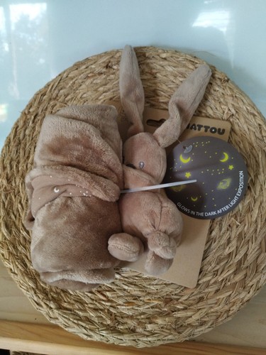 Doudou couverture lapin