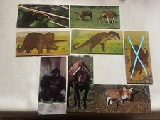 IMAGE NO PANINI VIGNETTE CARTE