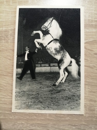 Radio circus ural - radio, horse
