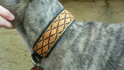 Collier pour chien lévrier - pour,