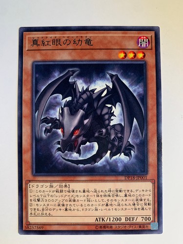 Red eyes baby dragon - red-eyes,