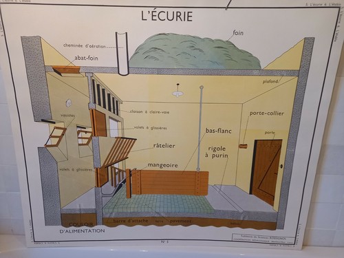 Affiche scolaire pedagogique - affiche,