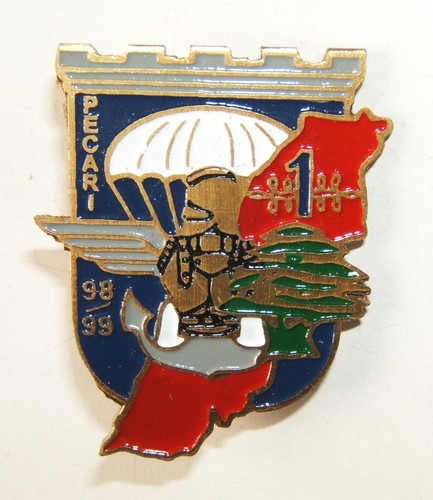 Insigne rgt du genie - rgt,