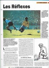 Fascicule Notre Monde - Le corps Humain - Les réflexes