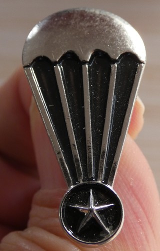 Beau pin militaire arme - militaire,