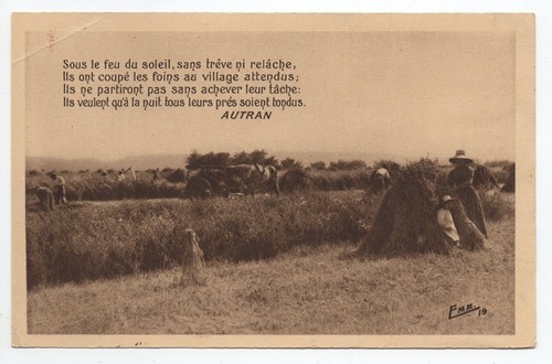 Agriculture campagne scenes - agriculture,