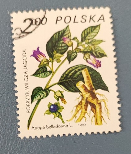 Timbre pologne polska 1980 - timbre,