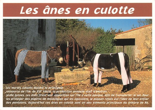 Ile les anes en - re,