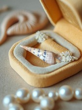 Petit coquillage ancien