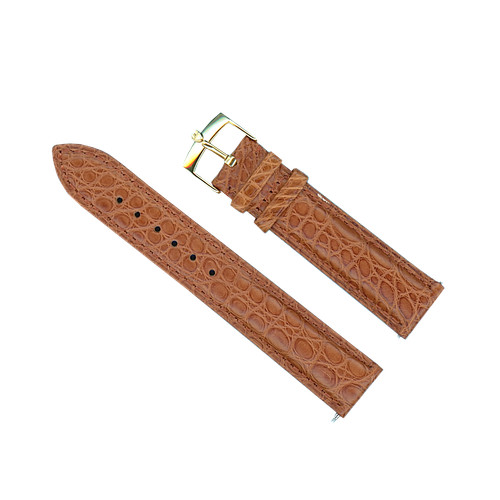 Véritable alligator marron - alligator,