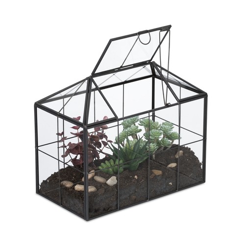 Terrarium mini - terrarium,