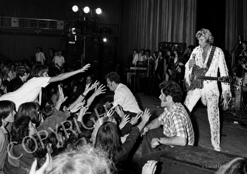 Photo johnny hallyday - a4,
