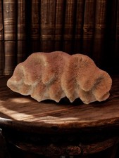 Ancien petit coquillage