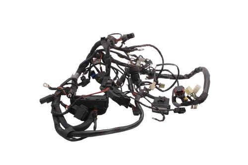 Faisceau électrique principal