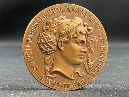Médaille bronze société - bronze,