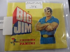 PANINI OU STYLE POCHETTE