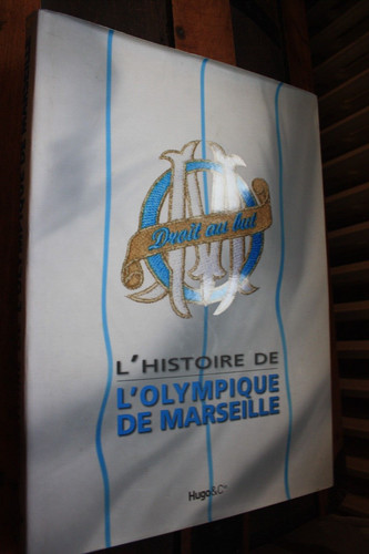 Superbe grand livre 2009 - grand,