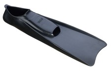 9910 Palmes Courtes en
