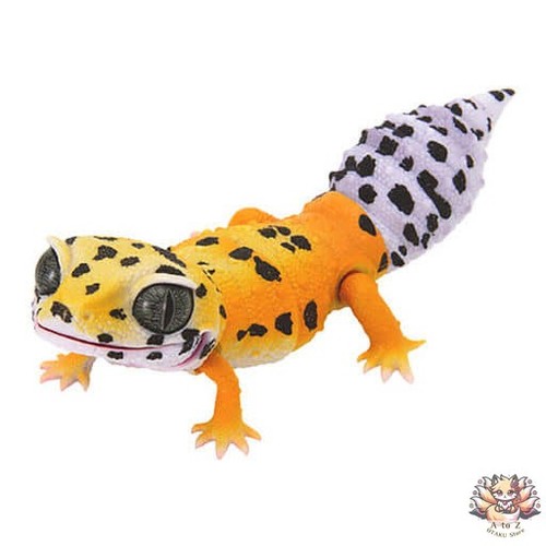 Tangerine creature - tangerine,