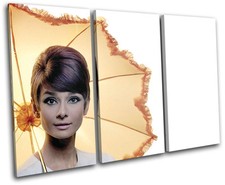 Audrey Hepburn Iconic