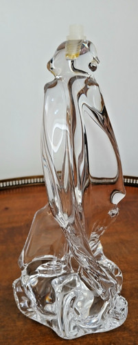 Schneider superbe pied - superbe, de