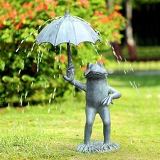 Grenouille Ouvrir Un Parapluie