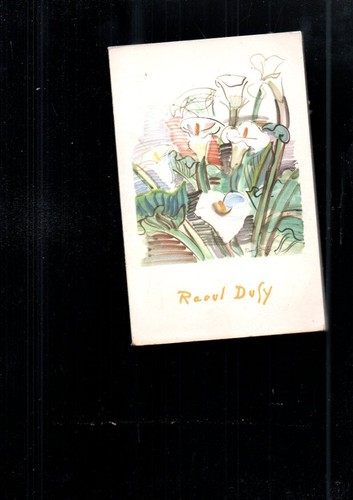 Livre raoul dufy - livre,