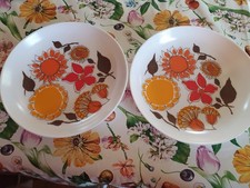 Lot de 2 Assiettes de camping