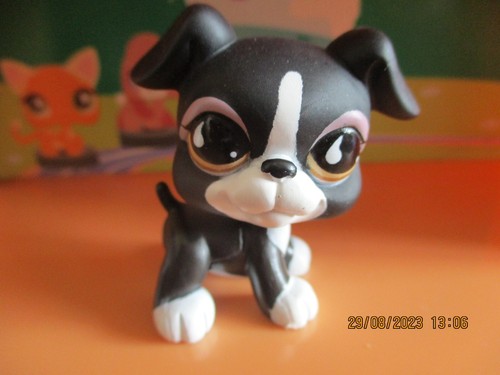 Petshop chien boxer - petshop,