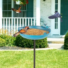 Bain d'oiseaux d'extérieur en
