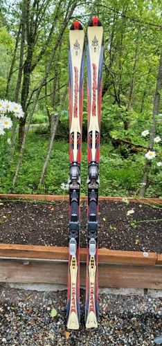 Classic rossignol skis - rossignol,